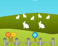 Sunny difference online
